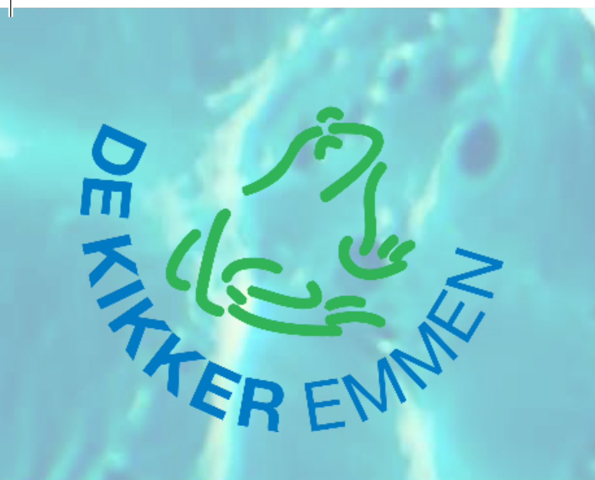 De kikker